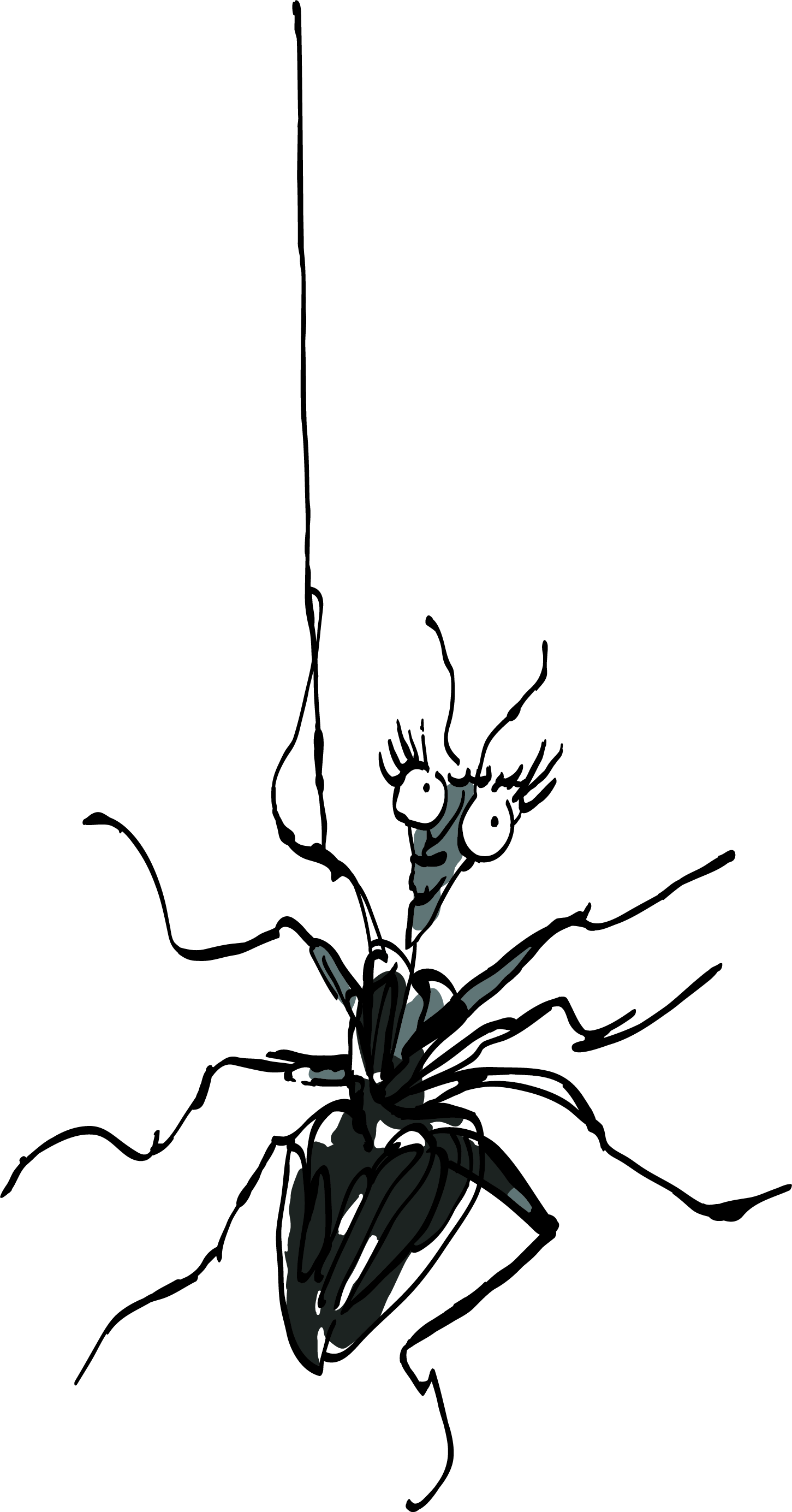 Illustration of Miss Spider